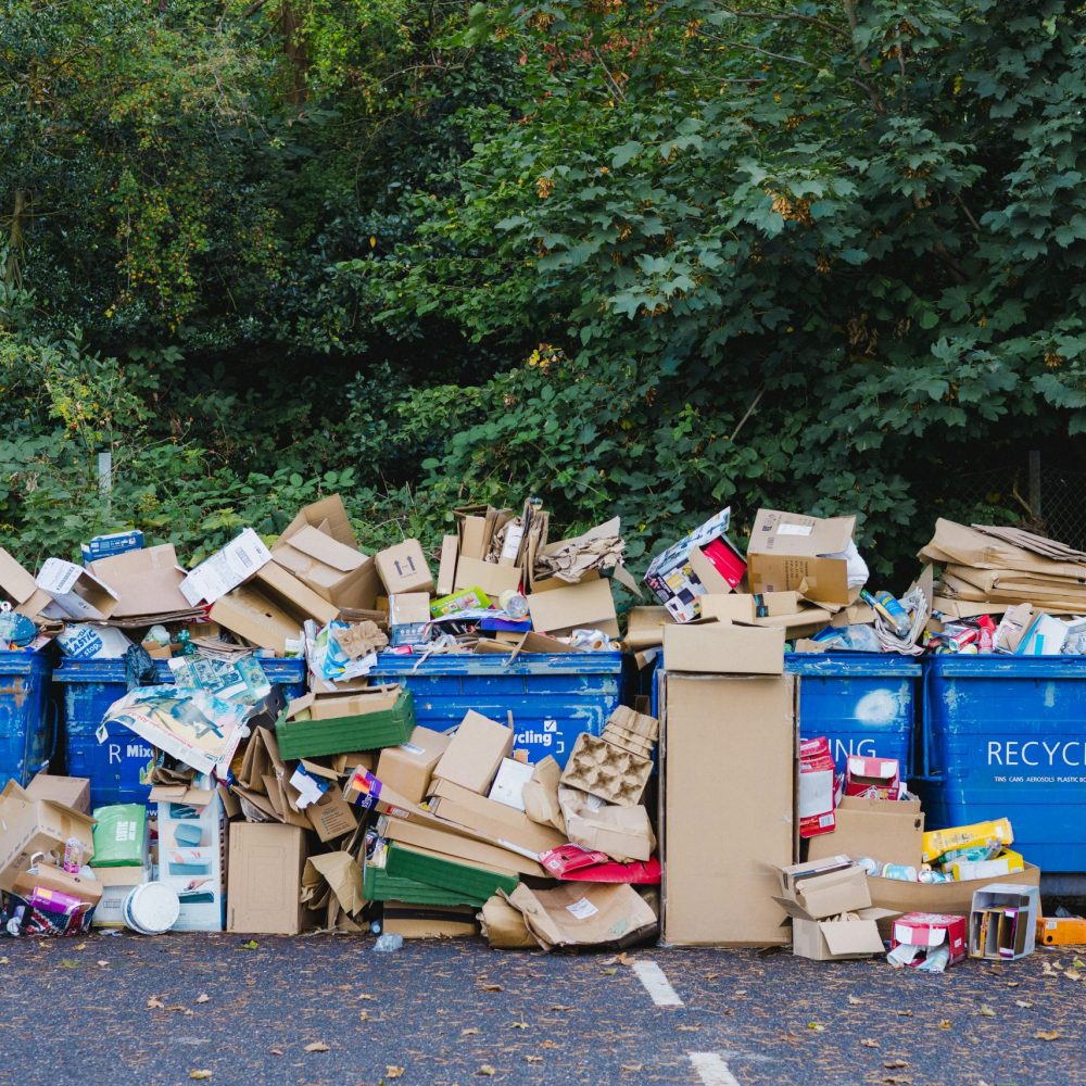 roll-off-dumpster-rental-construction-debris-removal-bay-area-california-accurate-cleaning-systems-06